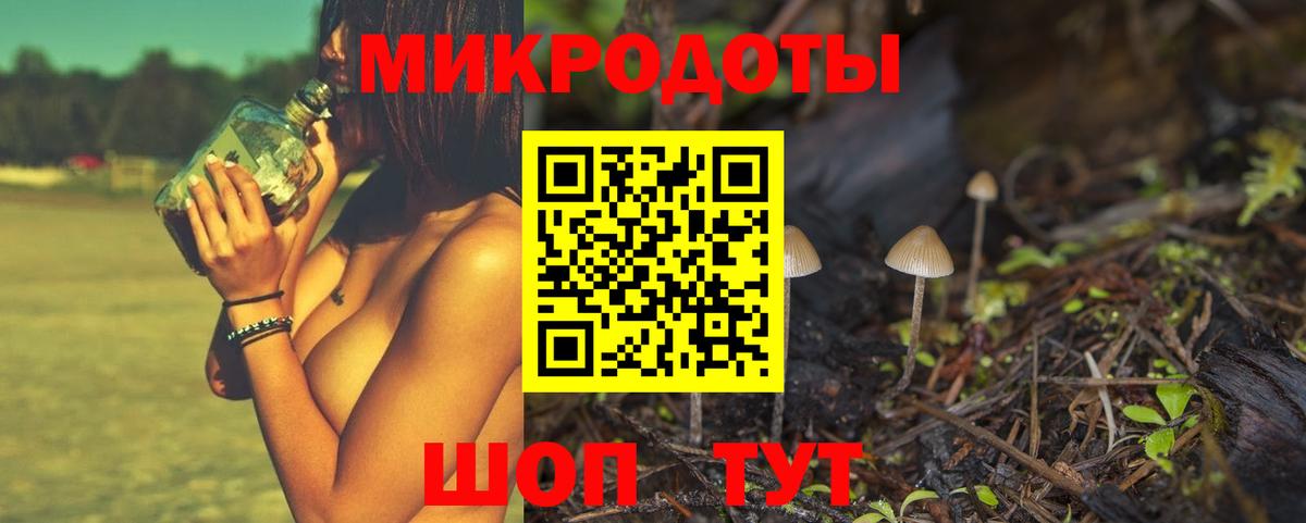 Галлюциногенные грибы Cubensis Дзержинск