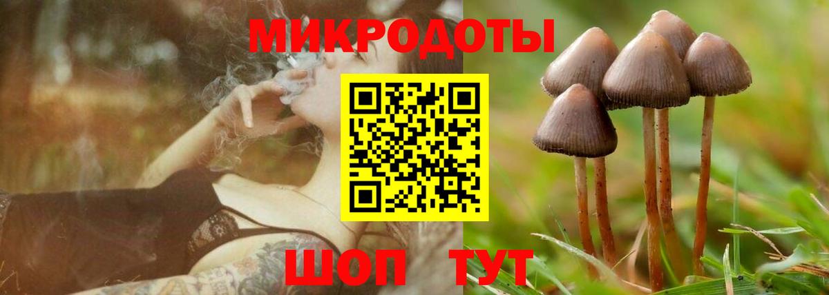 Псилоцибиновые грибы Cubensis  даркнет сайт  Вход с VPN  Дзержинск  Галлюциногенные грибы Cubensis 